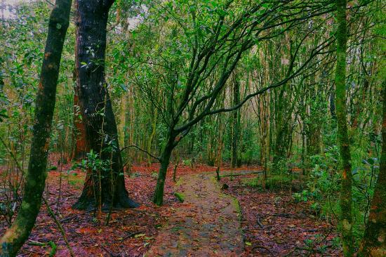 Galway's Land National Park